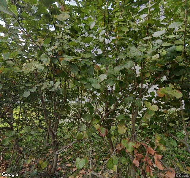 560 Bethany Ln, Haverhill, FL 33415